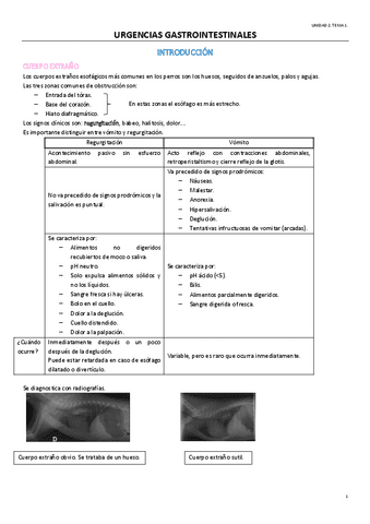 TEMA-6-OPTATIVA.pdf