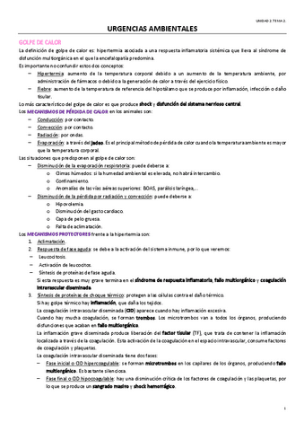TEMA-7-OPTATIVA.pdf