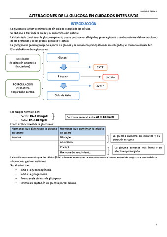TEMA-9-OPTATIVA.pdf