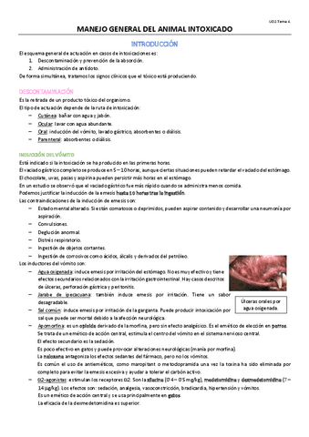 TEMA-10-OPTATIVA.pdf