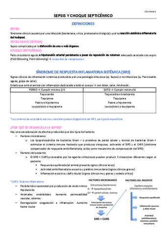 TEMA-11-OPTATIVA.pdf
