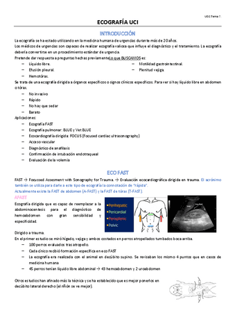 TEMA-12-OPTATIVA.pdf