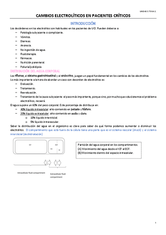 TEMA-2-OPTATIVA.pdf