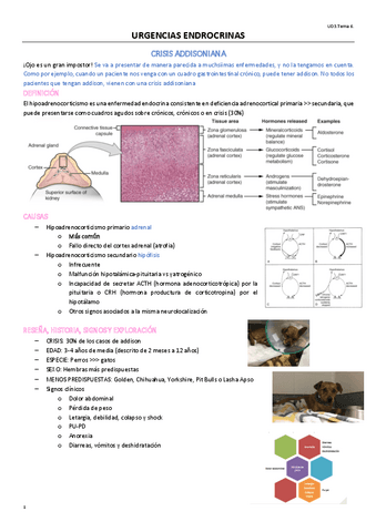 TEMA-3-OPTATIVA.pdf