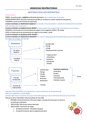 TEMA-6-OPTATIVA.pdf