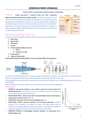 TEMA-7-OPTATIVA.pdf