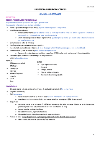 TEMA-8-OPTATIVA.pdf
