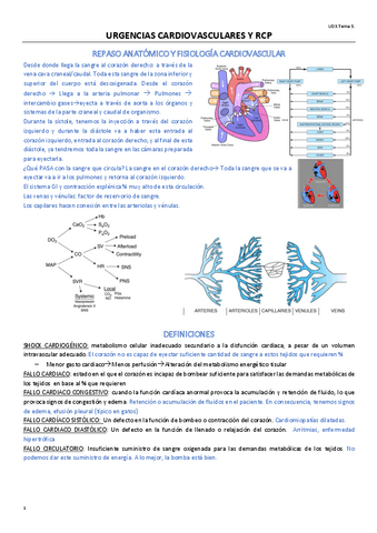 TEMA-5.pdf