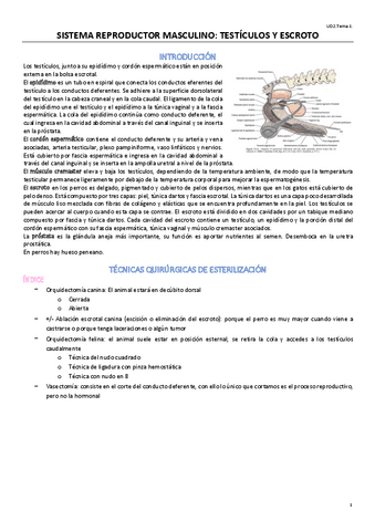 UD2T1CIRUGIA.pdf