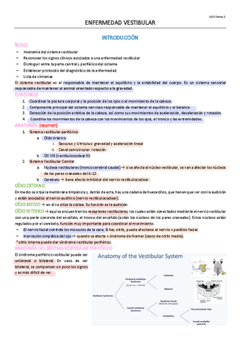 UD3.T2.pdf