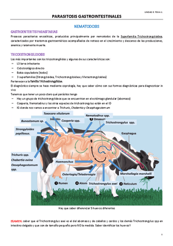 TEMA-19PARASITOSIS-GASTRICA.pdf