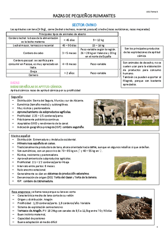tema-9fin.pdf