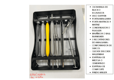 BANDEJA 1-AMALGAMA-DE-PLATA-Y-COMPOSITE-MRL.pdf