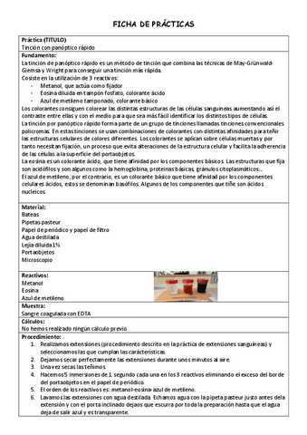 Practica-panoptico-rapido.pdf