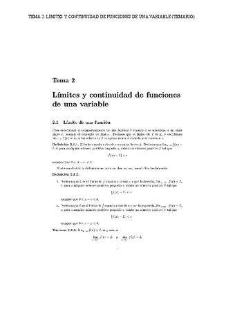 TEMA-2-LIMITES-Y-CONTINUIDAD-DE-FUNCIONES-DE-UNA-VARIABLE-TEMARIO.pdf
