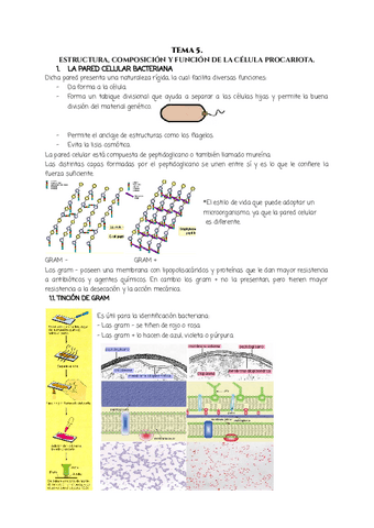 TEMA-5.-MICROBIOLOGIA.pdf