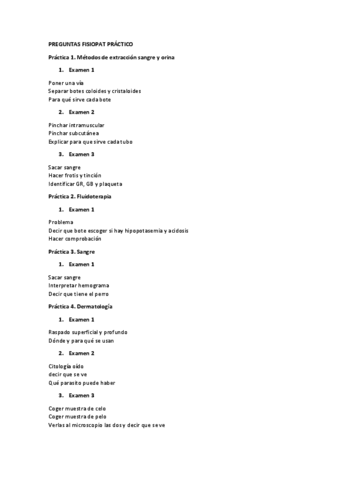 Posibles-preguntas-PRACTICO.pdf