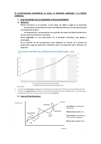 T5.-FLUCTUACIONES-ECONOMICAS.pdf