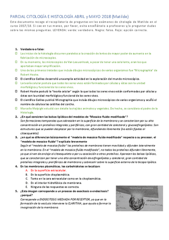 Parcial.pdf