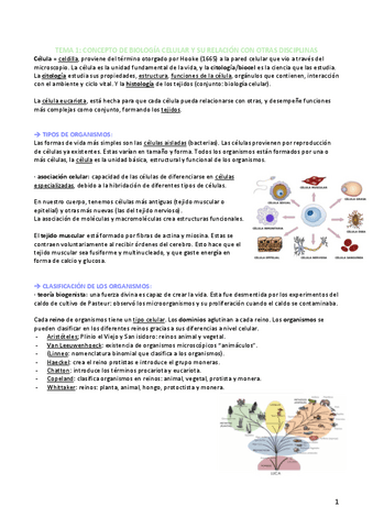 TEMAS-1-AL-10-biocel.pdf