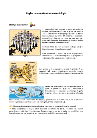 Reglas-mnemotecnicas-microbiologia-dibujos.pdf