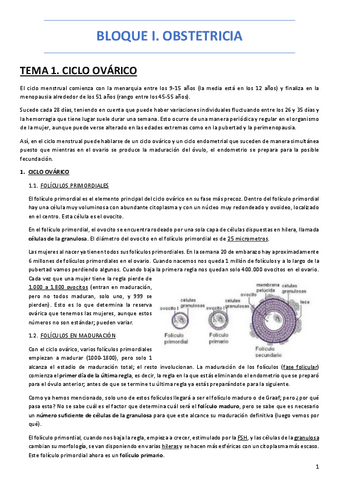 OBSTETRICIA-COMPLETA-MH.pdf