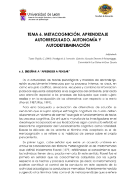 Tema 6. Metacognición.pdf