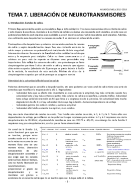 Microsoft Word - TEMA 7.docx.pdf