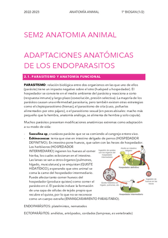 SEM2-ANATO.pdf
