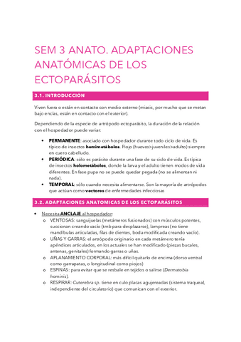SEM3-ANATO.pdf