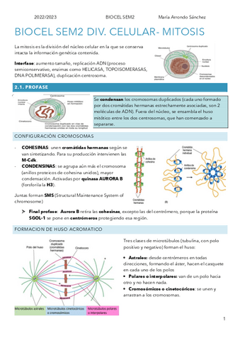 SEM2BIOCELMITOSIS.pdf