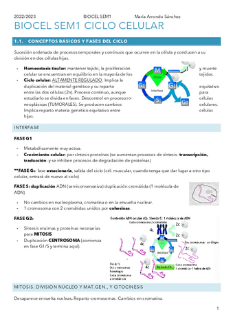 SEM1BIOCELCICLO.pdf