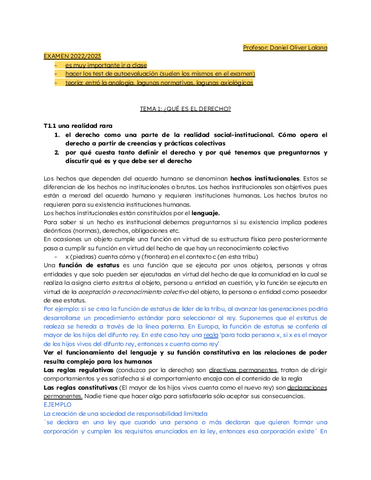 TEORÍA DEL DERECHO LALANA apuntes completos.pdf