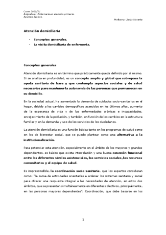Atencion-Domiciliaria.pdf