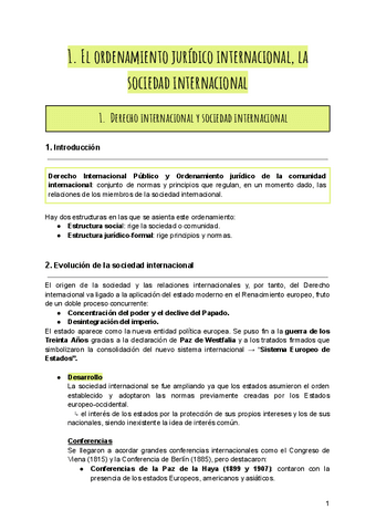 derecho-internacional-publico.pdf