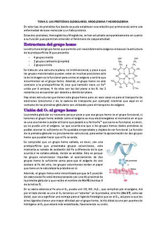 TEMA-5.pdf