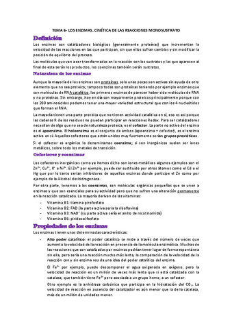 TEMA-6.pdf