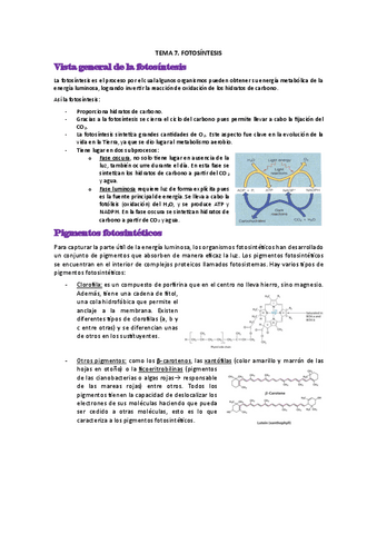 TEMA-7.pdf