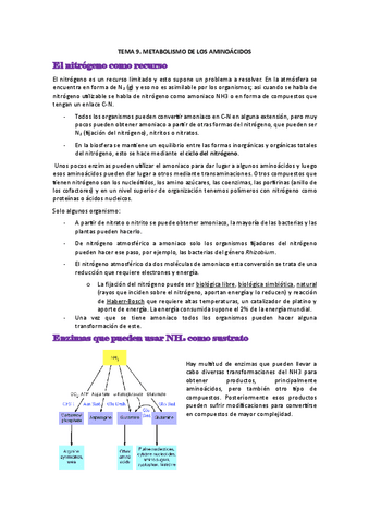 TEMA-9.pdf