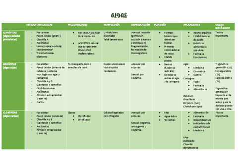 TABLA-ALGAS.pdf
