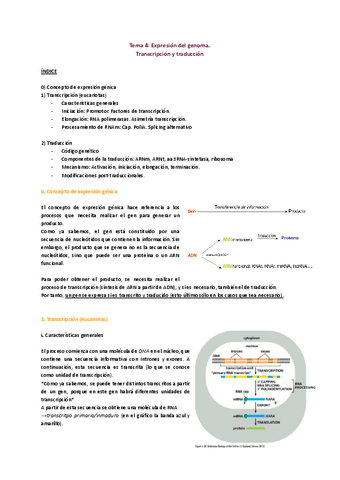 TEMA-4.pdf