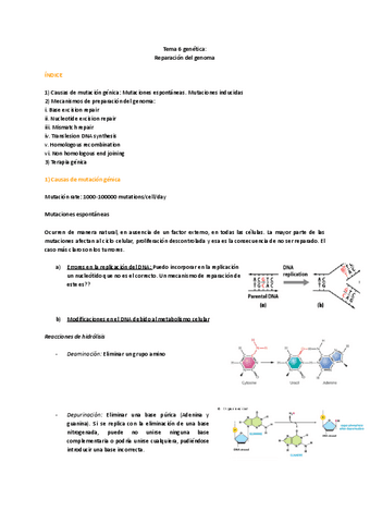 TEMA-6.pdf