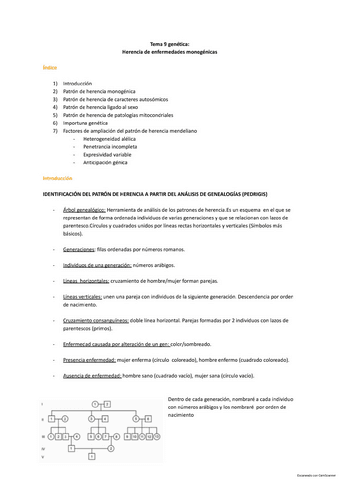 TEMA-9.pdf
