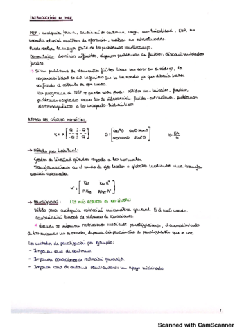 teoria-resumen mef.pdf