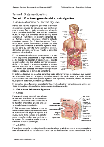 Apuntes-Tema-4-Sistema-digestivo.pdf