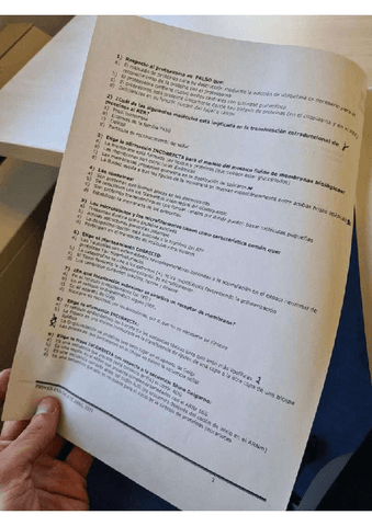 Examen4.pdf