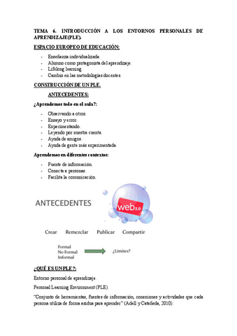 TEMA-6.-PLE.pdf