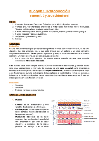 Bloque-1.-Introduccion..pdf
