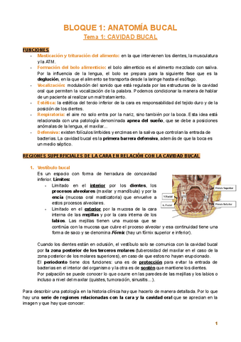 Bloque-1.-Anatomia-bucal..pdf