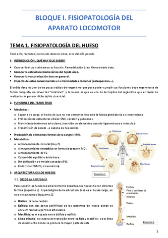 BLOQUE-I.-FISIOPATOLOGIA-DEL-APARATO-LOCOMOTOR.pdf